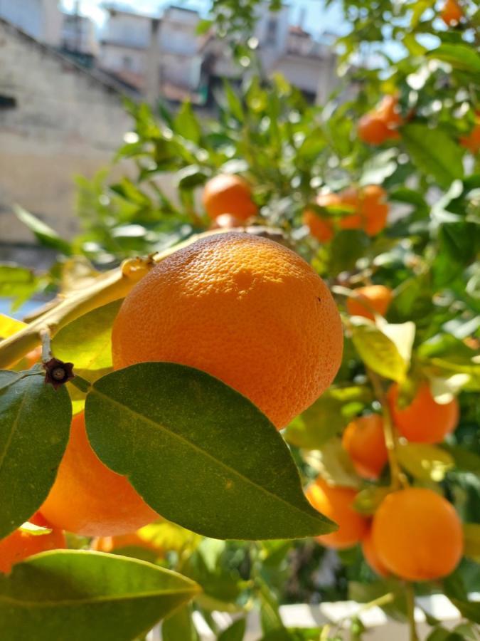 Orange Tree Apartment Asprovalta Esterno foto